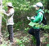 태양광발전설계