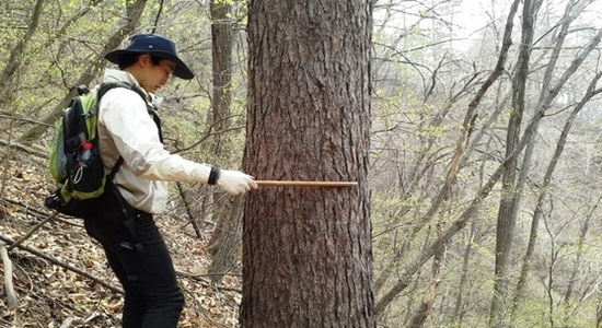 태양광발전설계